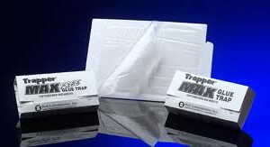 BELL - LEPOVÁ PASCA MAX ( GLUE TRAP )